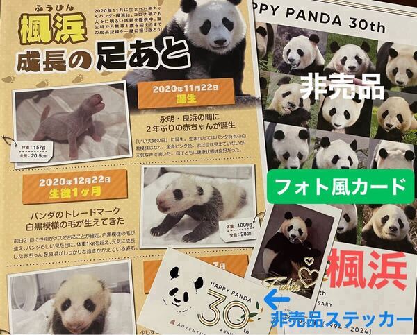 楓浜 ふうひん フォト風カード パンダ来日52周年 & パンダ日中共同繁殖研究30周年 アドベン貴重リーフレット&ステッカー他 シャンシャン