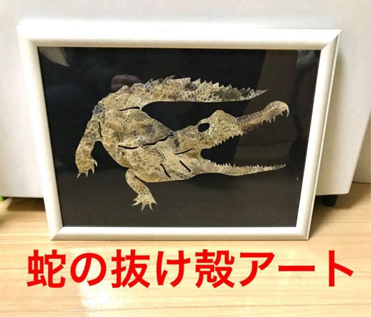 2025年最新】Yahoo!オークション -ワニ 置物の中古品・新品・未 2025年最新】Yahoo!オークション -ワニ 置物の中古品・新品・未