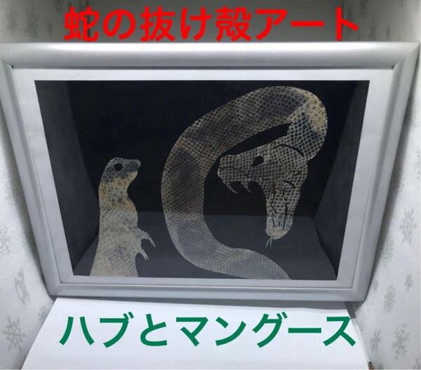 蛇の抜け殻 アート作品 ハブとマングース 金運 開運 魔除け 守り神 送料無料