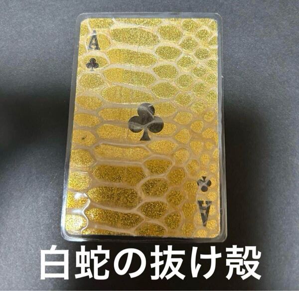 白蛇の抜け殻 蛇の抜け殻 金運 開運 魔除け
