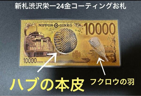 蛇の抜け殻 ハブの皮 渋沢栄一 新札 金運アイテム 魔除け 一攫千金