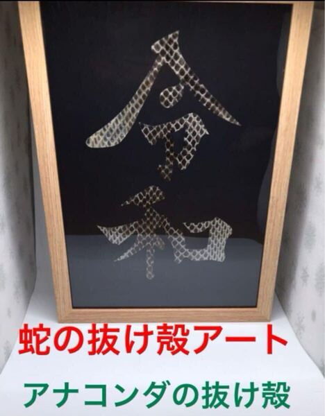 蛇の抜け殻 アート作品 アナコンダの抜け殻! 激レア 金運 開運 魔除け 守り神 家内安全