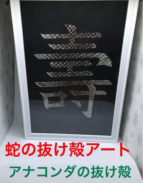 【24時間限定価格】蛇の抜け殻 アート作品 アナコンダの抜け殻! 激レア 金運 開運 魔除け 守り神 家内安全 ヘビ