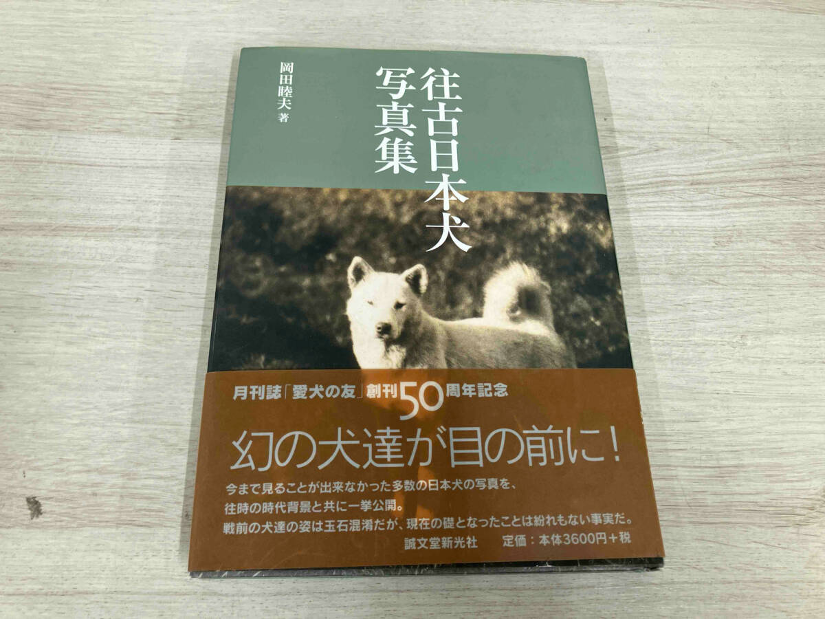 Yahoo!オークション -「日本犬」(本、雑誌) の落札相場・落札価格 Yahoo!オークション -「日本犬」(本、雑誌) の落札相場・落札価格