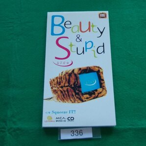 8cm/CD/hide/Beauty & Stupid/ヒデ/ビューティー・アンド・スチューピッド/管336
