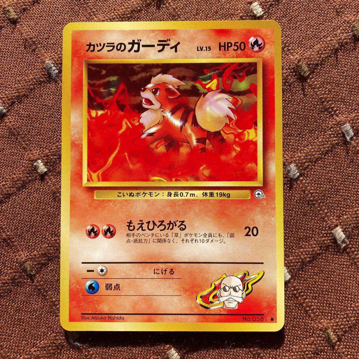 2025年最新】Yahoo!オークション -ポケモンカード カツラの中古 2025年最新】Yahoo!オークション -ポケモンカード カツラの中古