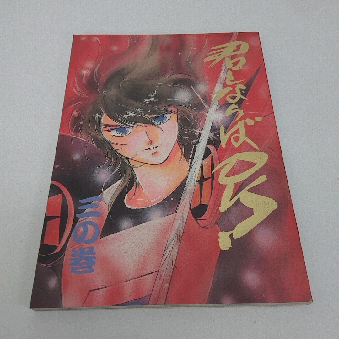 Yahoo!オークション -「鎧伝 サムライトルーパー」(漫画