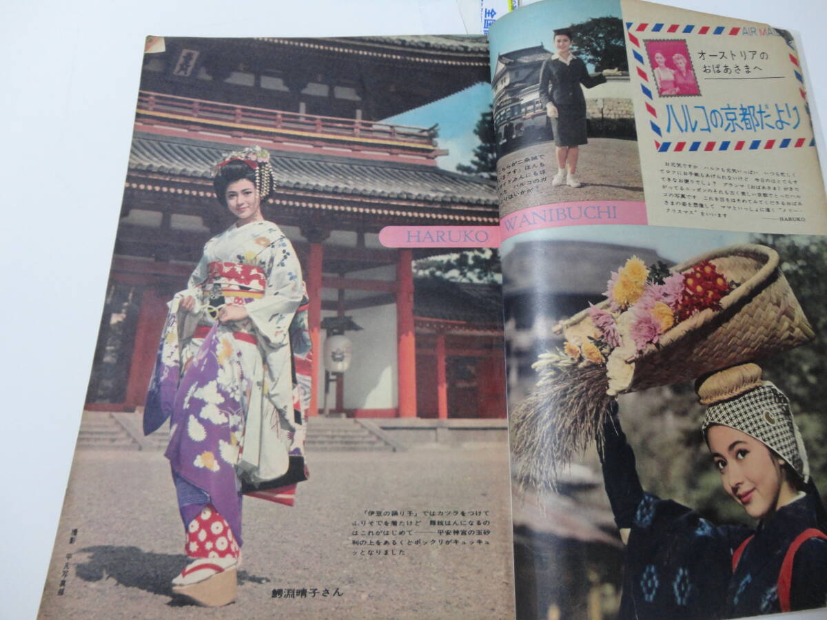 Yahoo!オークション -「鰐淵晴子」(平凡) (アイドル、芸能人)の落札相場・落札価格 Yahoo!オークション -「鰐淵晴子」(平凡) (アイドル、芸能人)の落札相場・落札価格