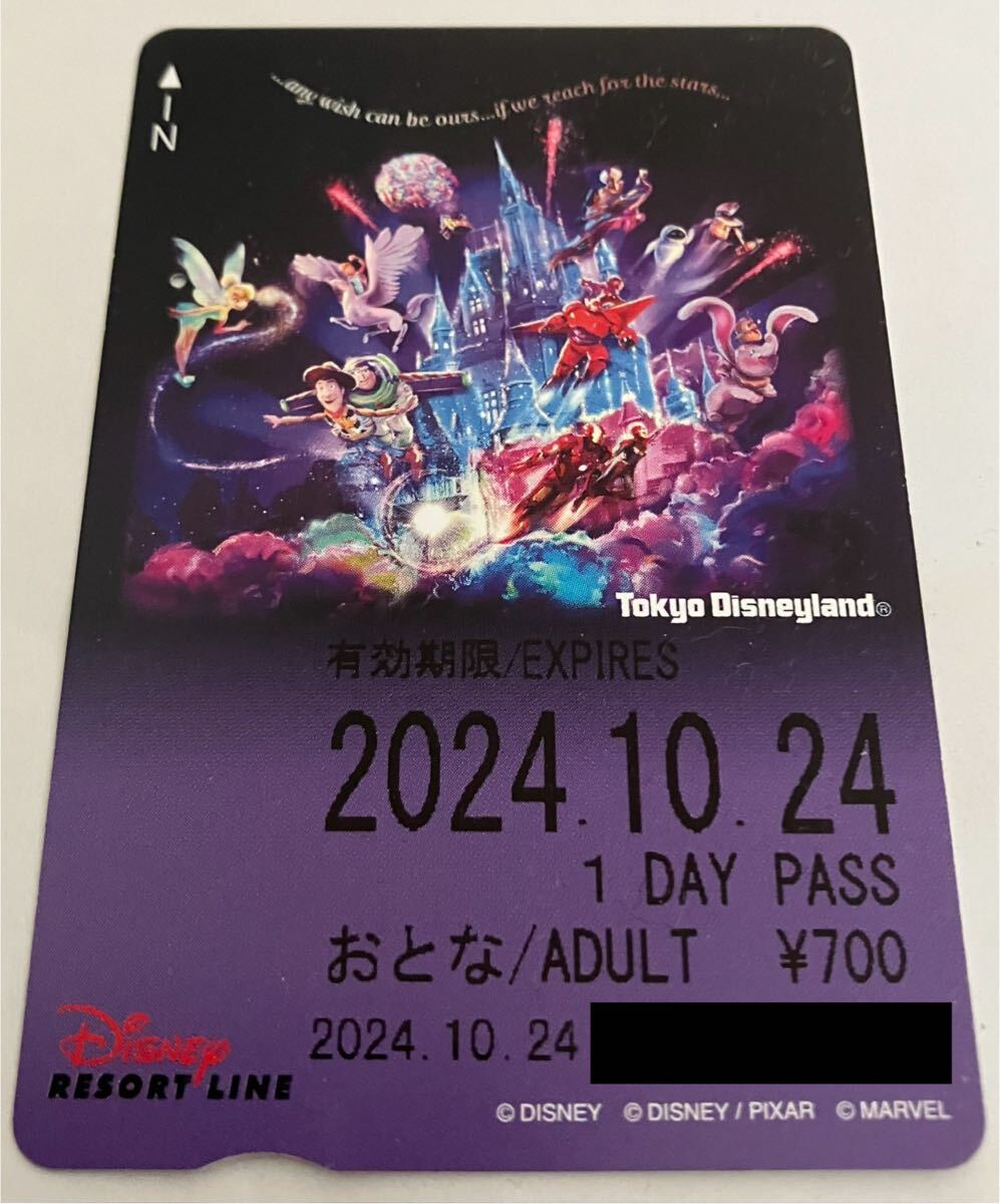 Yahoo!オークション -「ディズニーリゾートライン」(その他