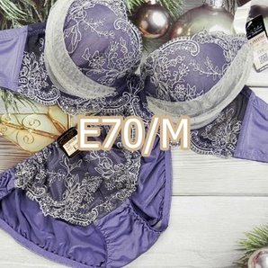 E70003-P E70/M ブラ・ショーツセット ランジェリー インナー 下着