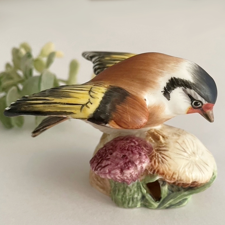 A4】即決 ロイヤルウースター ゴールドフィンチ ほどけ 鳥 A4】即決 ロイヤルウースター ゴールドフィンチ ほどけ 鳥