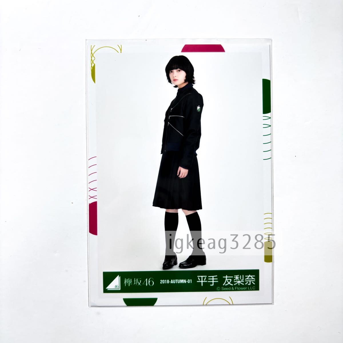 欅坂46 生写真 平手友梨奈 サイレントマジョリティー コンプ - メルカリ