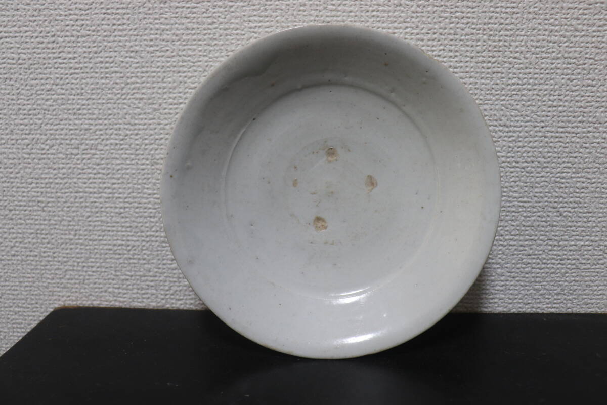中国 明時代 白磁皿 振りものあります 2025年最新】Yahoo!オークション -中国 白磁 皿の中古品・新品