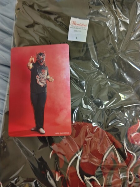 エル・デスペラード/桃桃子Tシャツ/Lサイズ/未使用未開封品/最終値下げ
