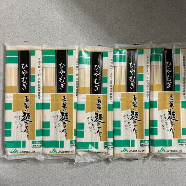 高加水練り上げ ひやむぎ 吾輩ハ麺デアル 300g×5袋セット JA愛媛たいき