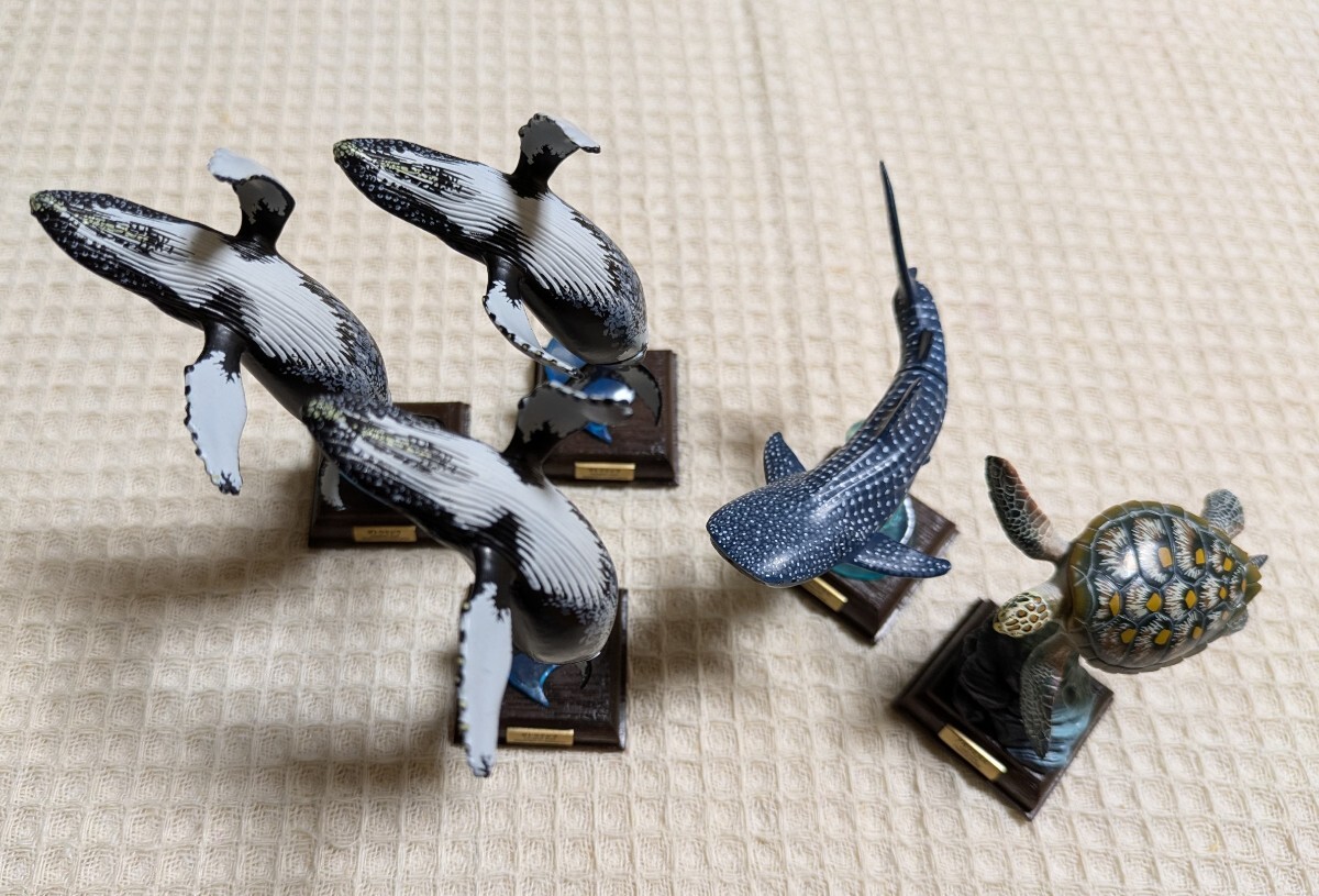 2025年最新】Yahoo!オークション -ザトウクジラの中古品・新品 2025年最新】Yahoo!オークション -ザトウクジラの中古品・新品