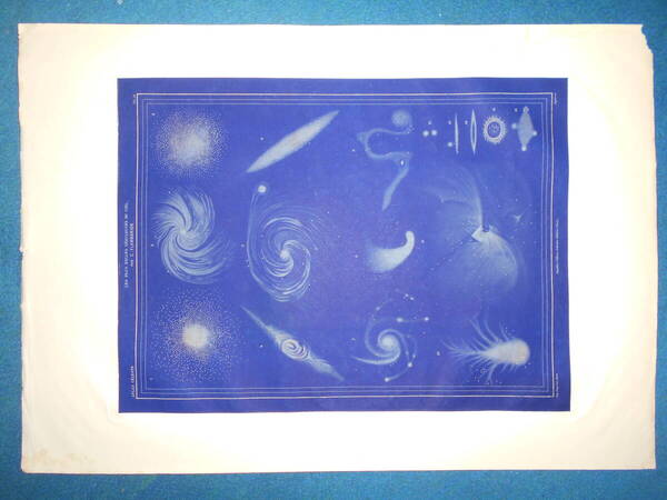 即決1913年『フラマリオン星図29』天球図、天文アンティーク 星図、フランス星座早見盤Astronomy, Star map, Planisphere, Celestial atlas