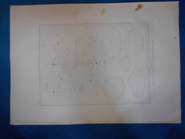 即決1913年『フラマリオン星図28』天球図、天文アンティーク 星図、フランス星座早見盤Astronomy, Star map, Planisphere, Celestial atlas