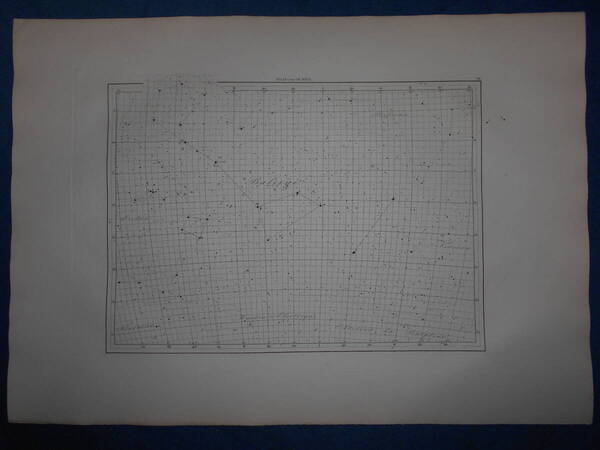 即決1913年『フラマリオン星図19』天球図、天文アンティーク 星図、フランス星座早見盤Astronomy, Star map, Planisphere, Celestial atlas