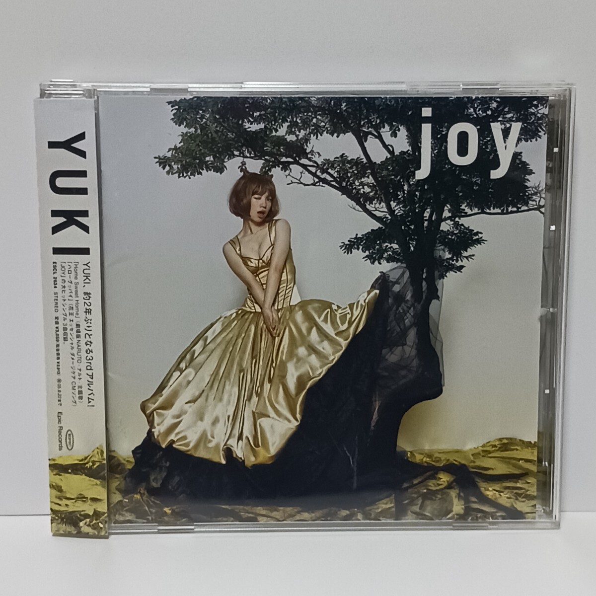 2025年最新】Yahoo!オークション -joy yuki(音楽)の中古品・新品