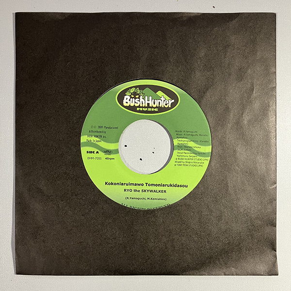 Yahoo!オークション -「ryo the skywalker」(レコード) の落札