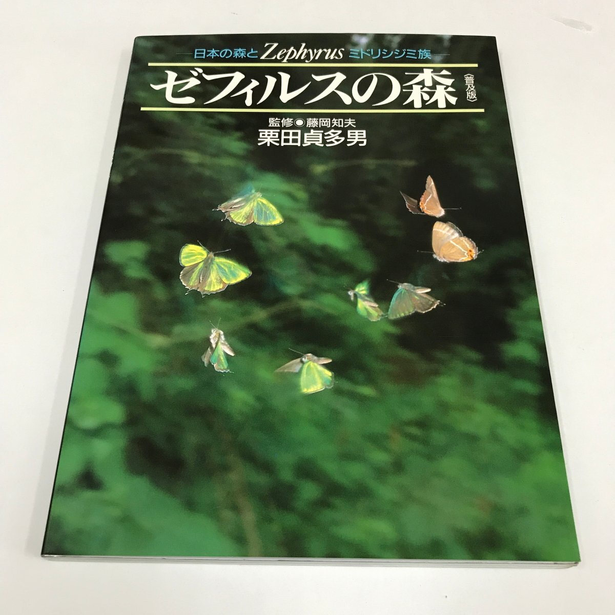 Yahoo!オークション -「ミドリシジミ」の落札相場・落札価格 Yahoo!オークション -「ミドリシジミ」の落札相場・落札価格
