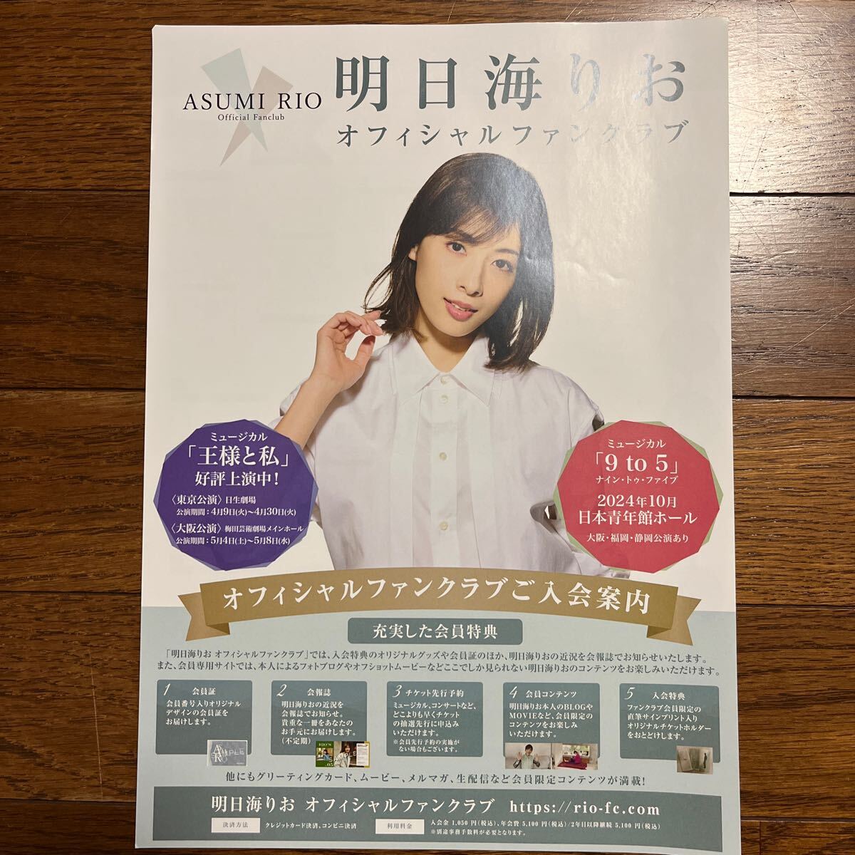 明日海りお さんファンクラブ入会案内 チラシ 2枚