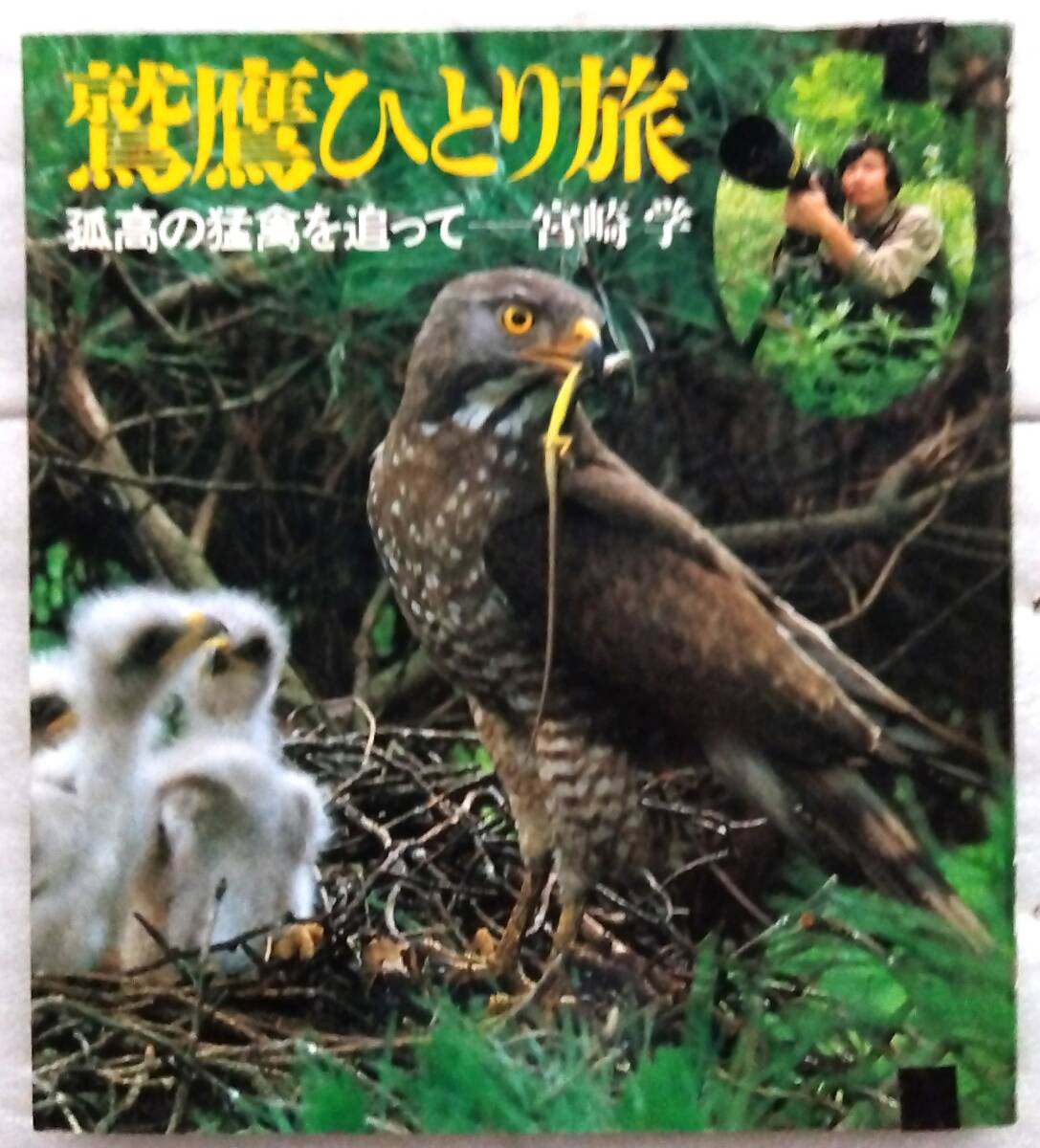 2025年最新】Yahoo!オークション -鷹 鷲(本、雑誌)の中古品・新品