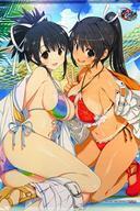 中古タペストリー 飛鳥&焔 八重樫南氏描きおろしB2タペストリー 「PS4ソフト 閃乱忍忍忍者大戦ネプテューヌ -