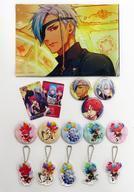 中古雑貨 5大特典セット 「Switchソフト ラディアンテイル アニメイト限定セット」 同梱特典