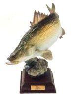 中古トレーディングフィギュア 【シークレット】 アカメ 「ネイチャーテクニカラー 日本の清流」