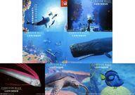 中古キャラカード 集合 オリジナルブロマイド7枚セット 「Switchソフト フォーエバーブルー ルミナス」 Amazon.