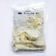 中古フィギュア 桐生・アーシェリカ・夏希 「祇音の館」 1/7 レジンキャストキット