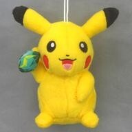 2025年最新】Yahoo!オークション -ポケットモンスター 進化の
