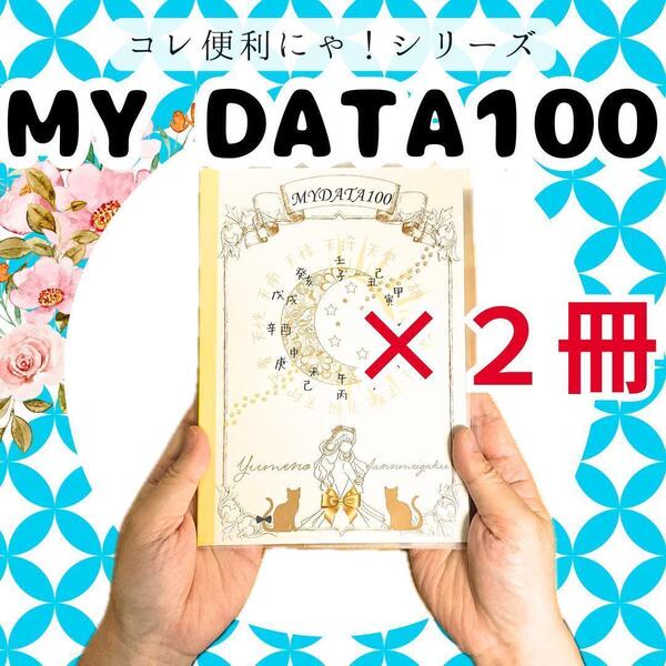 【¥960引】ゆめ乃算命学 あなたが作る「MY DATA100」 独学 鑑定