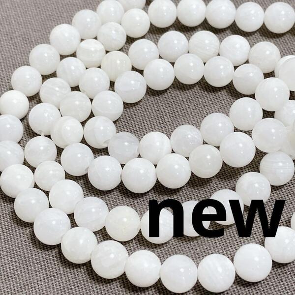 er090/SALE!シェル◇ラウンド形2連