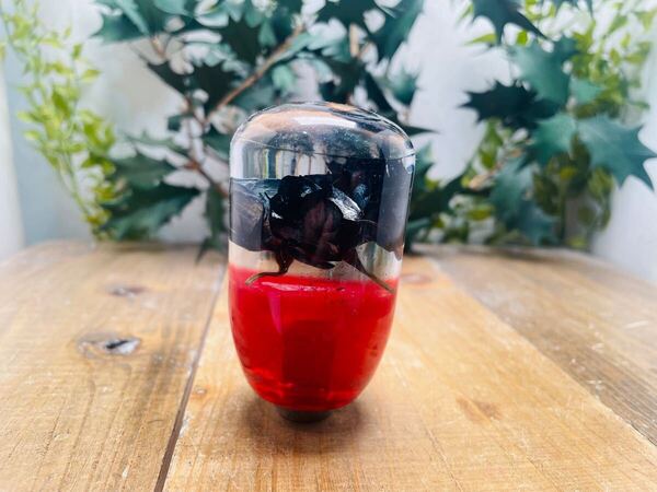 水中花 シフトノブ 黒薔薇 赤