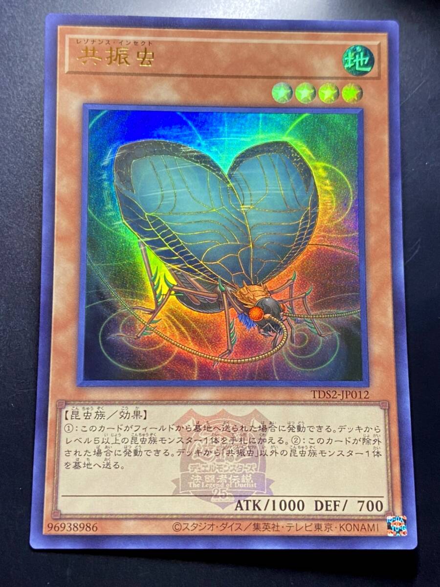 2025年最新】Yahoo!オークション -遊戯王 東京ドームの中古品 2025年最新】Yahoo!オークション -遊戯王 東京ドームの中古品