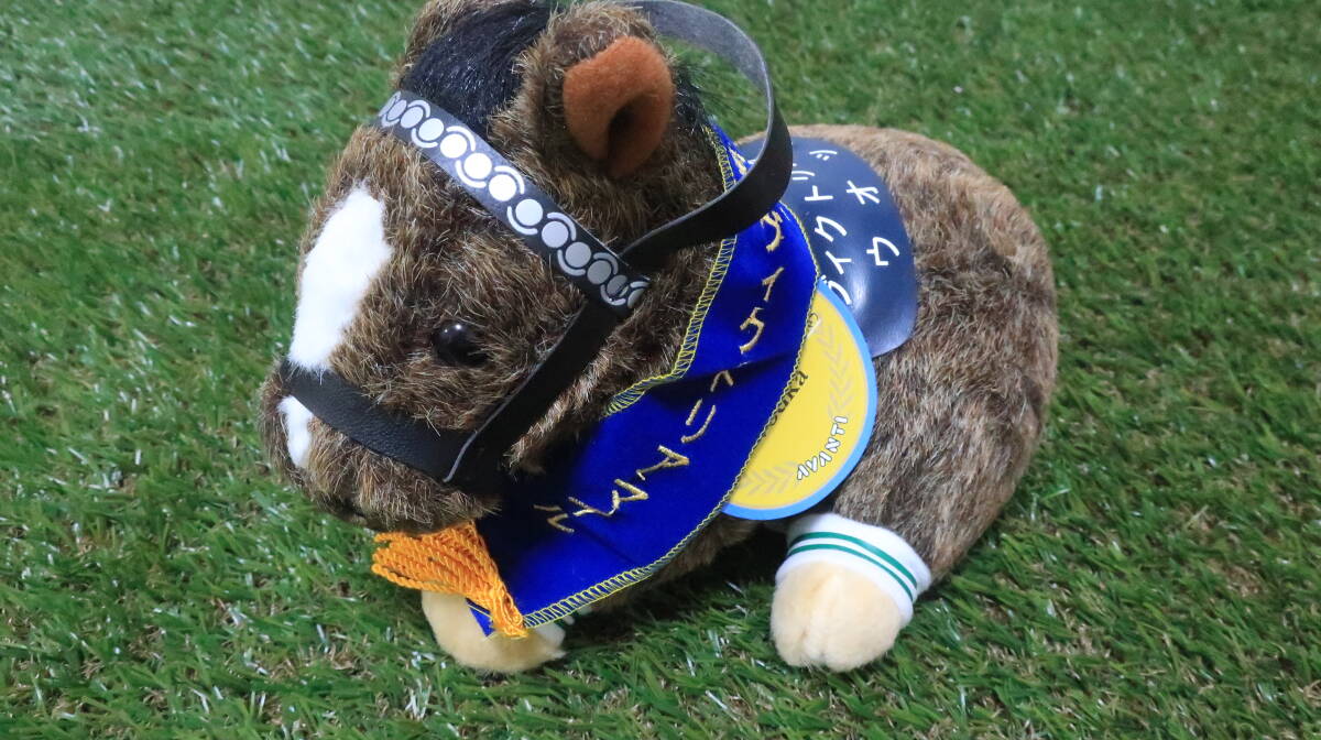 Yahoo!オークション -「ウオッカ ぬいぐるみ」(競馬) の落札相場 Yahoo!オークション -「ウオッカ ぬいぐるみ」(競馬) の落札相場