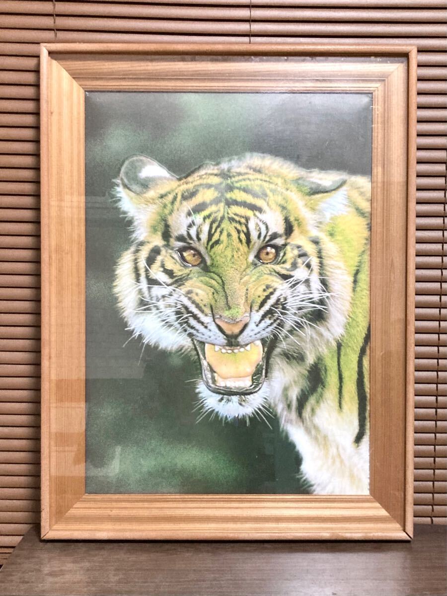 2025年最新】Yahoo!オークション -虎 絵画(その他)の中古品 2025年最新】Yahoo!オークション -虎 絵画(その他)の中古品