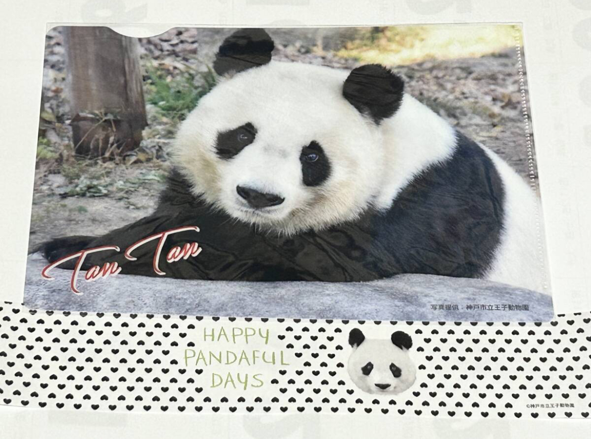 Yahoo!オークション -「王子動物園タンタン」の落札相場・落札価格 Yahoo!オークション -「王子動物園タンタン」の落札相場・落札価格