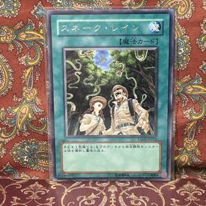 遊戯王カード/スネーク・レイン/TAEV-JP052/2007年