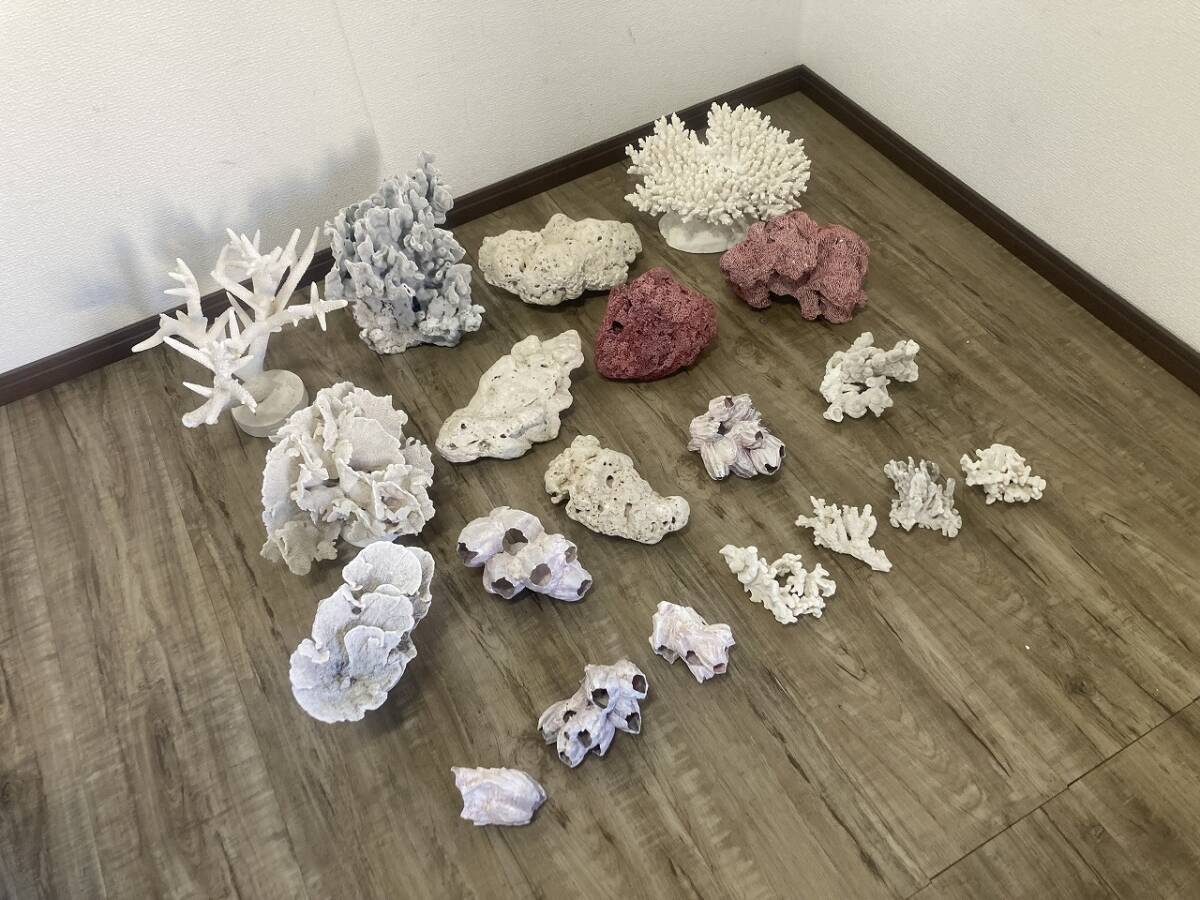 Yahoo!オークション -「珊瑚 置物 白」(魚、水草) (ペット用品 Yahoo!オークション -「珊瑚 置物 白」(魚、水草) (ペット用品