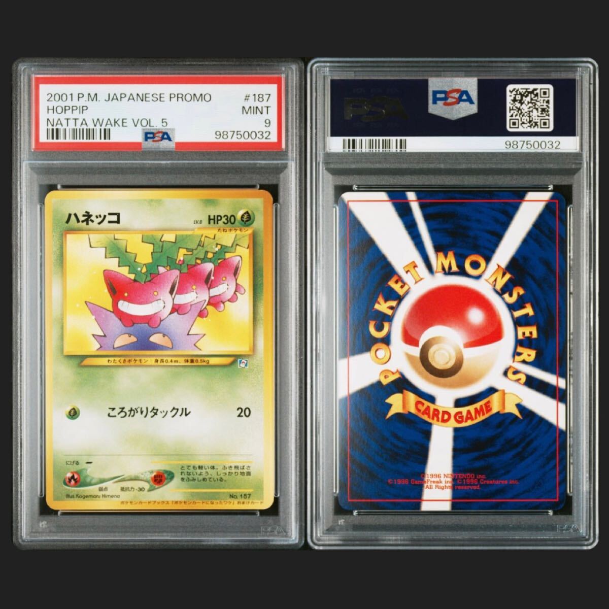 Yahoo!オークション -「vol.5」(ポケモンカードゲーム Yahoo!オークション -「vol.5」(ポケモンカードゲーム