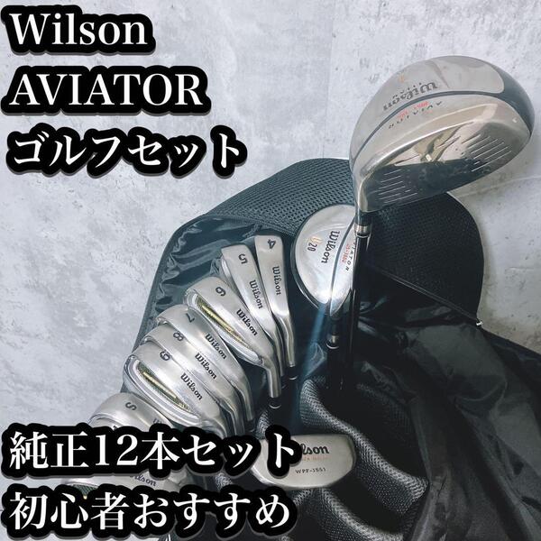 【良品】ウィルソン ゴルフセット 純正 12本 フレックスR 右利き 初心者 Wilson AVIATOR キャディバッグ