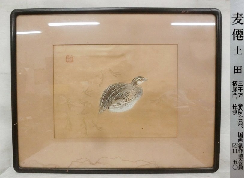 前川文嶺 ウズラ 鶉の図 花鳥画 額入り 書画、骨董品、美術品