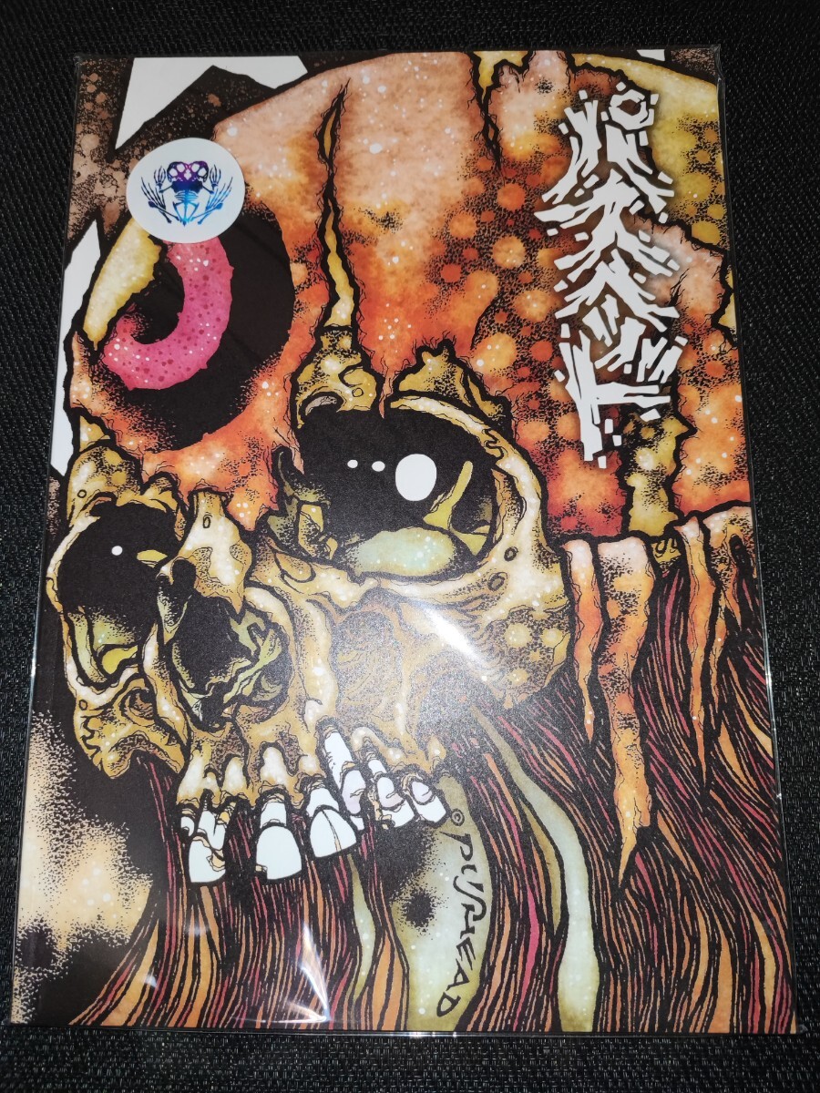 Yahoo!オークション -「pushead」(本、雑誌) の落札相場・落札価格 Yahoo!オークション -「pushead」(本、雑誌) の落札相場・落札価格