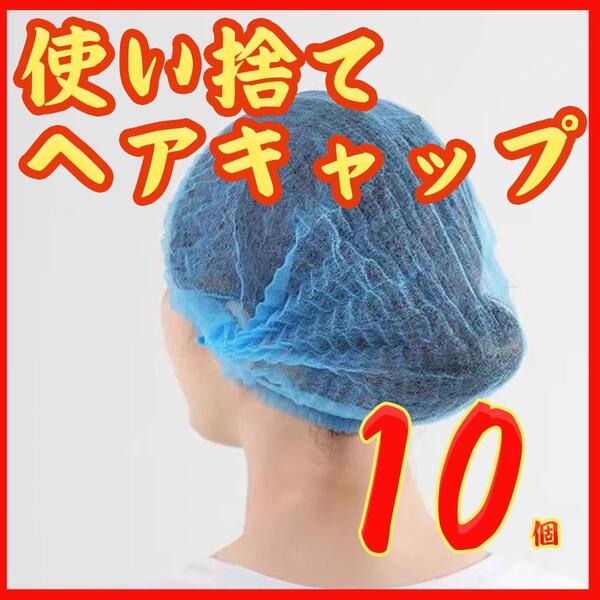 不織布使いきりヘアキャップ 10枚 介護福祉医療用 青色 チャック付き袋入りno24111501