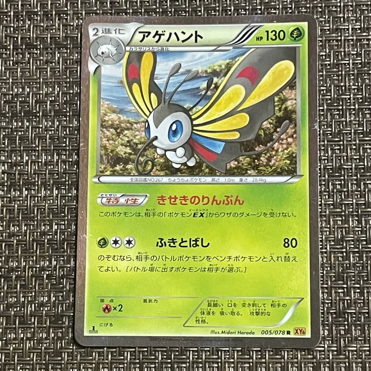 2025年最新】Yahoo!オークション -ポケモンカード アゲハント 2025年最新】Yahoo!オークション -ポケモンカード アゲハント