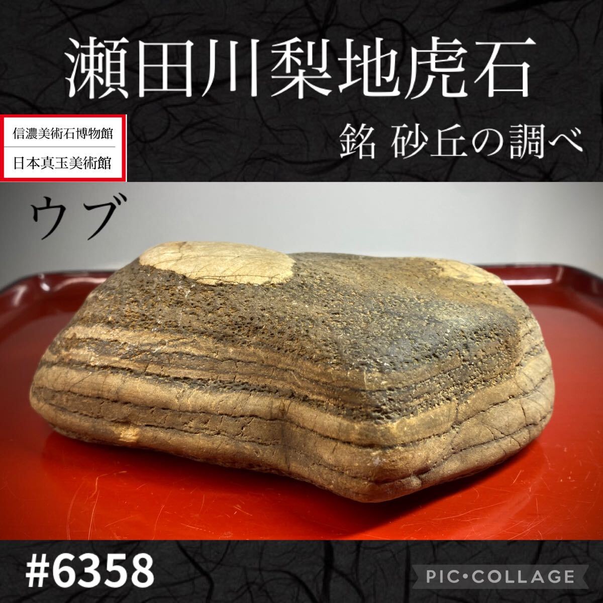 Yahoo!オークション -「瀬田川虎石」の落札相場・落札価格 Yahoo!オークション -「瀬田川虎石」の落札相場・落札価格